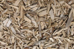 biomass boilers Skilgate